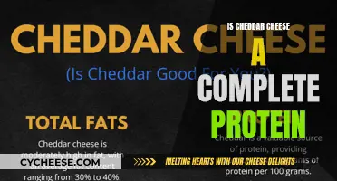 Unlocking Cheddar's Protein Potential: A Complete Guide