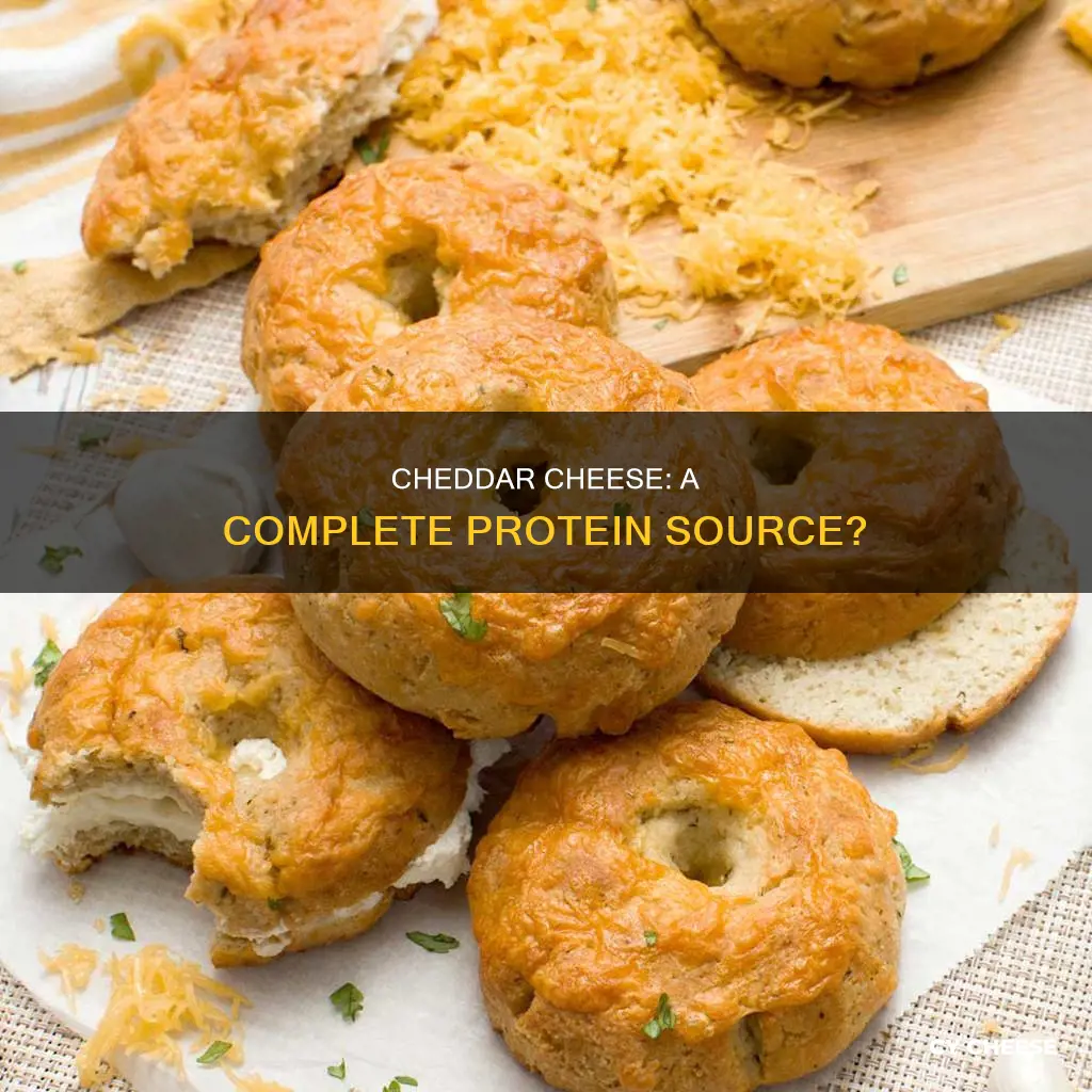 is cheddar cheese a complete protein