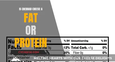 Unraveling Cheddar's True Nature: Fat or Protein?