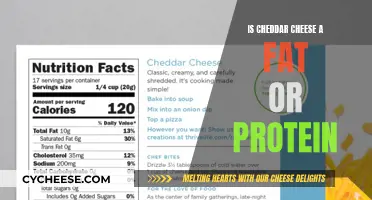 Cheddar Cheese: Fat or Protein?