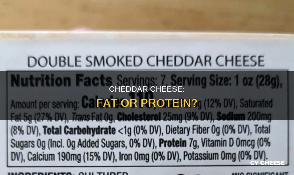 is cheddar cheese a fat or protein