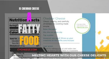 Cheddar Cheese: A Fatty Food or Healthy Indulgence?