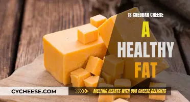 Unraveling Cheddar's Nutritional Secrets: Healthy Fats Unveiled