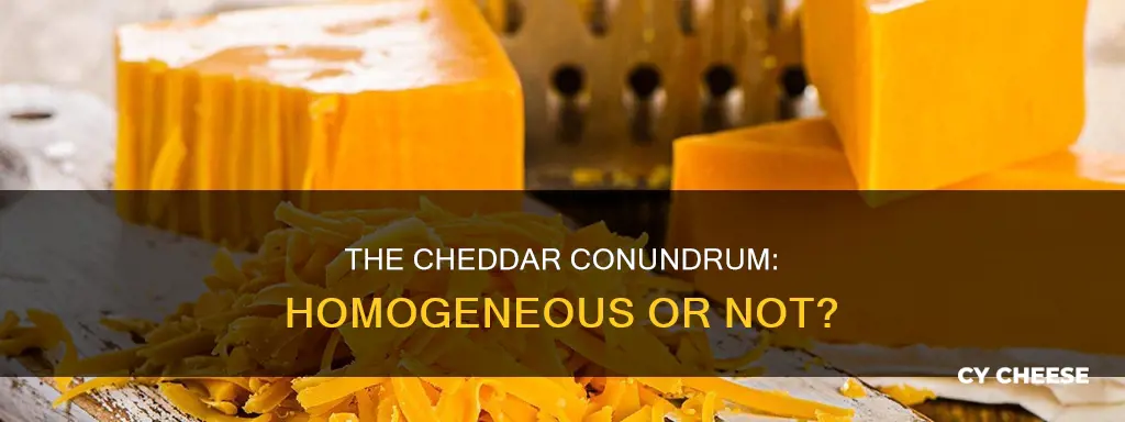 is cheddar cheese a homogeneous mixture