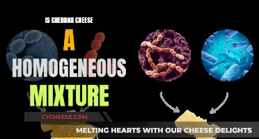 Cheddar Cheese: A Homogeneous Mixture?