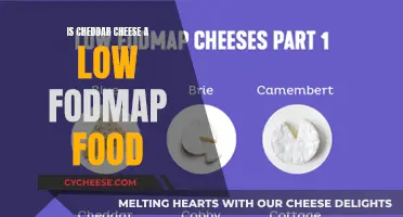 Cheddar Cheese: A Low FODMAP Food?