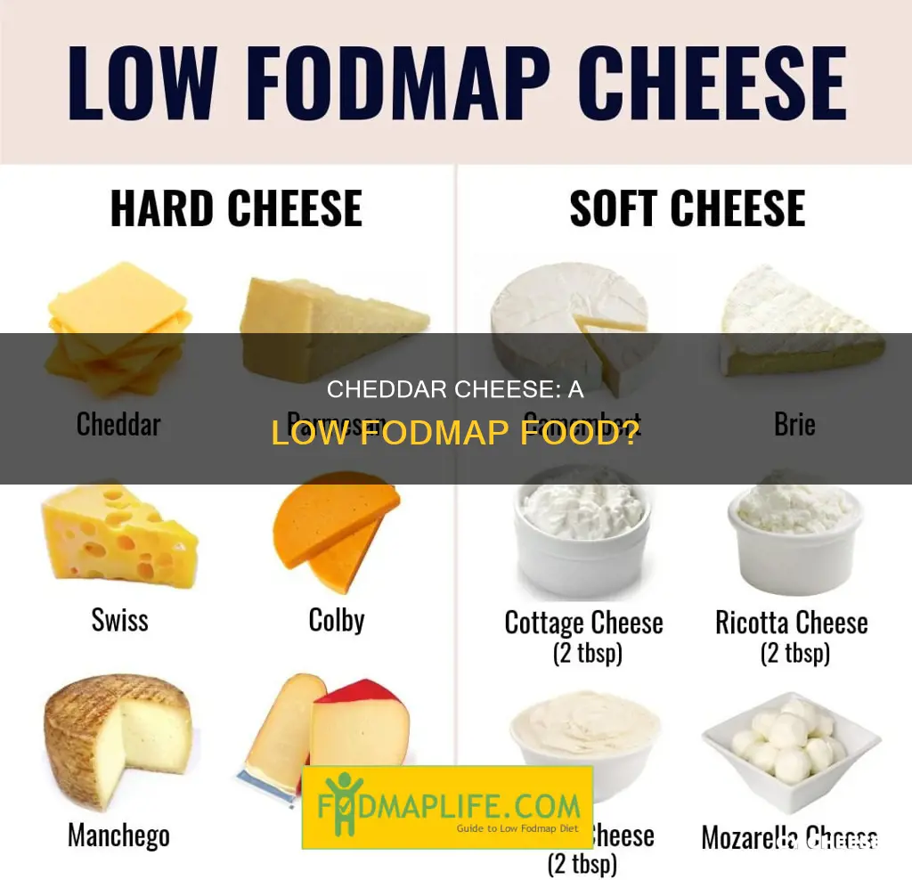 is cheddar cheese a low fodmap food