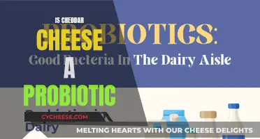 Unraveling the Probiotic Mystery: Cheddar Cheese's Surprising Health Benefits