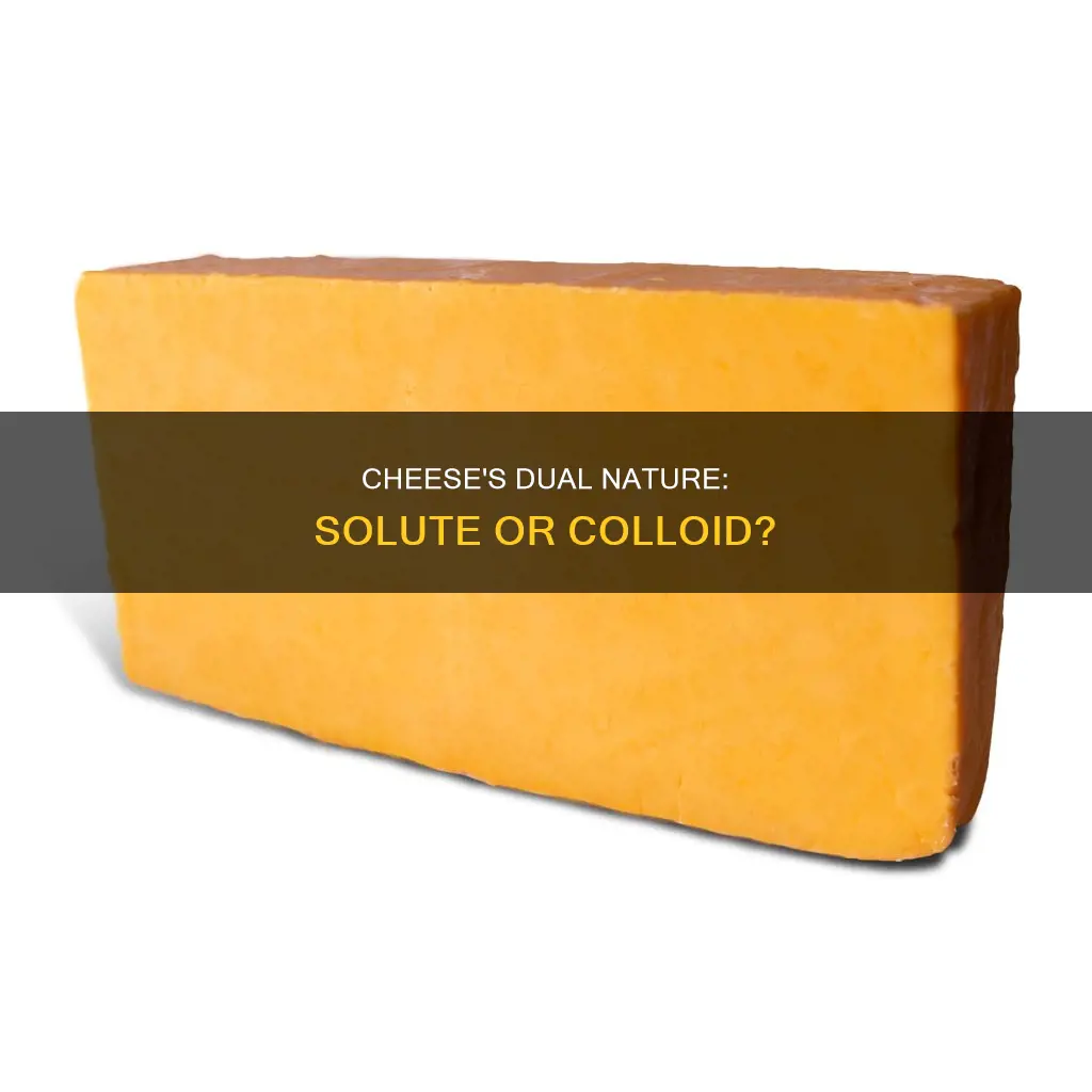 is cheddar cheese a solution or colloid