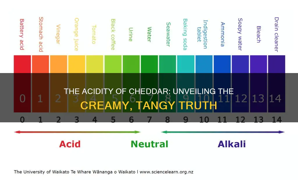 is cheddar cheese acidic