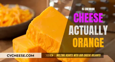 The Color of Cheddar: Unveiling the Orange Myth