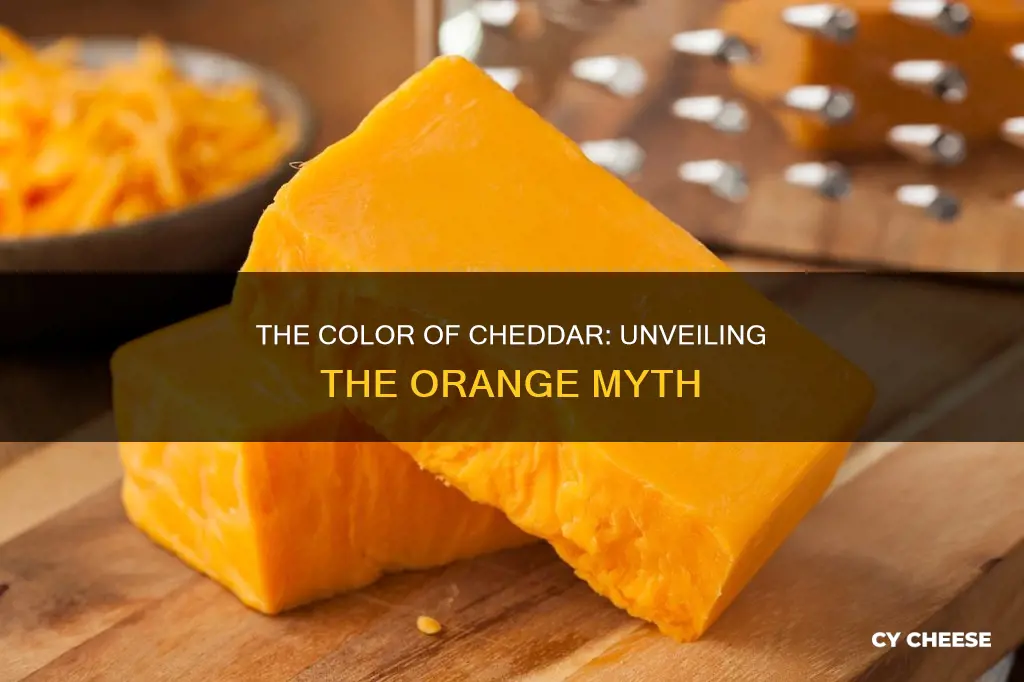 is cheddar cheese actually orange