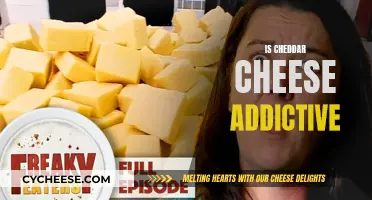 The Cheddar Conundrum: Is This Cheese Addictive?