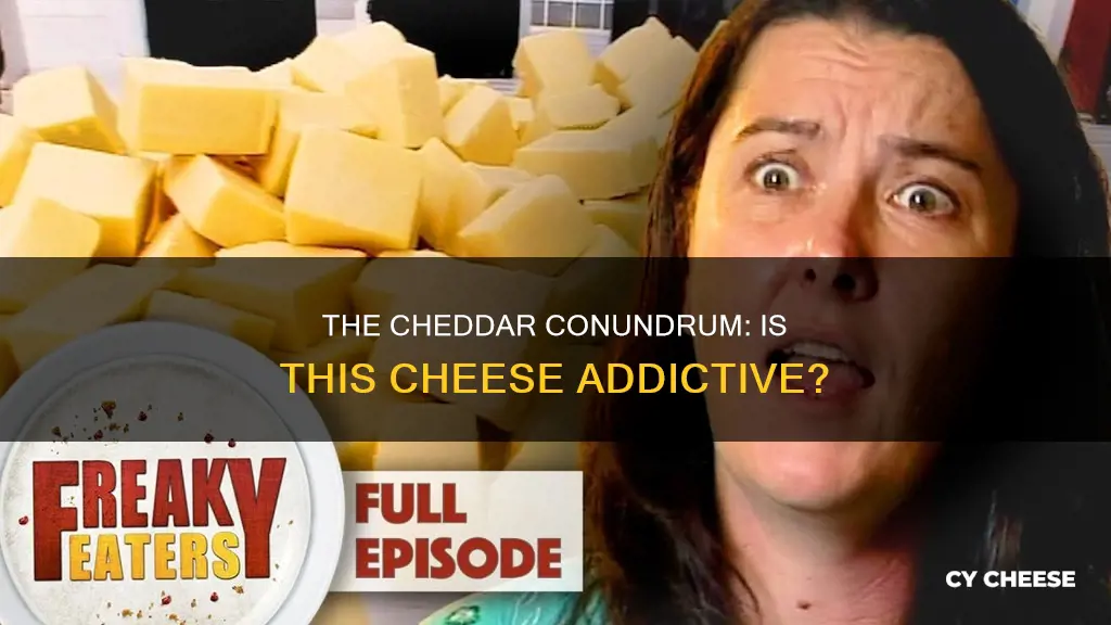 is cheddar cheese addictive