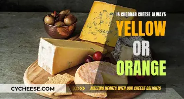 The Color of Cheddar: Unveiling the True Hue