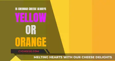 Cheddar Cheese: Why Isn't It White?