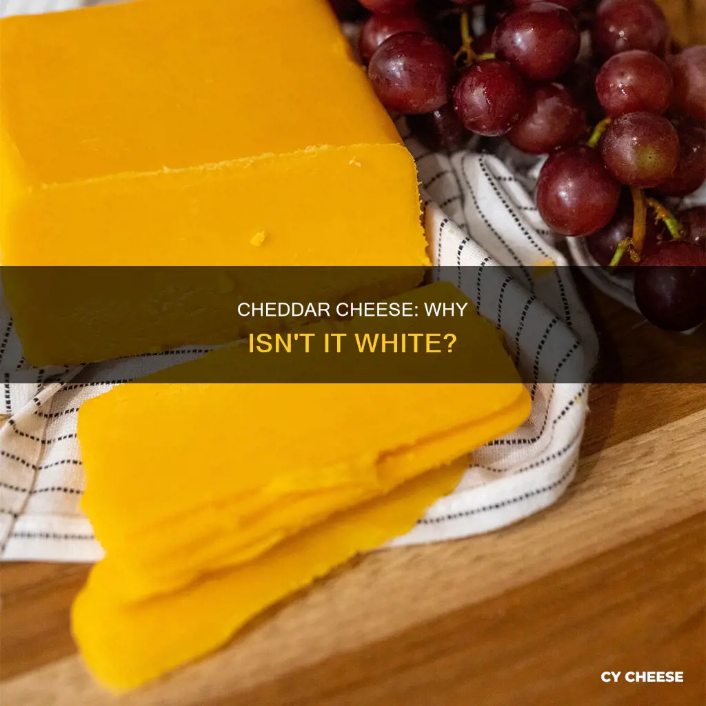 is cheddar cheese always yellow or orange
