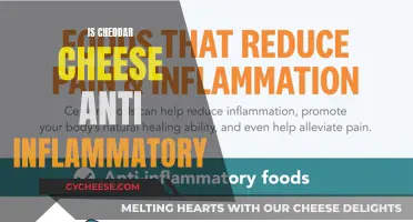 Cheddar Cheese: Anti-Inflammatory Superfood or Just a Myth?