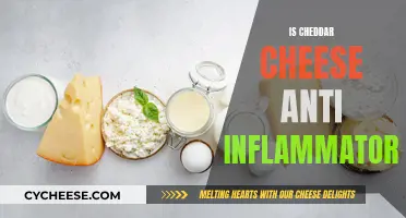Cheddar Cheese: An Anti-Inflammatory Superfood?