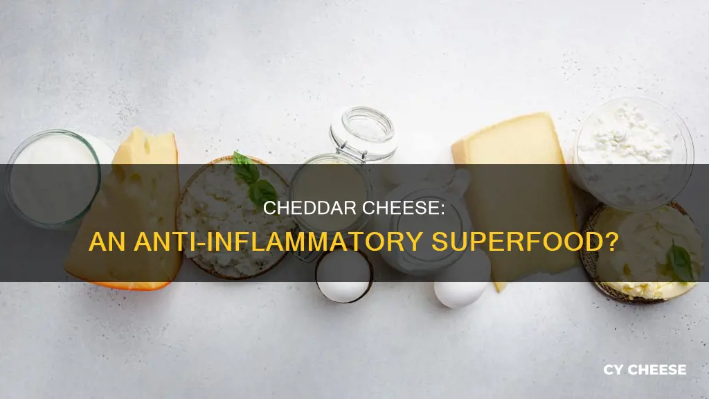 is cheddar cheese anti inflammatory