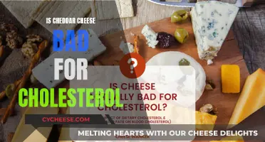 Cheddar Cheese and Cholesterol: Unraveling the Myth