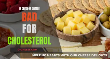 Cheddar Cheese and Cholesterol: What's the Real Truth?