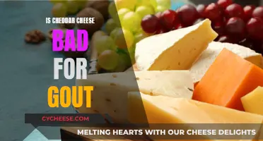 Cheddar Cheese and Gout: A Healthy Balance?
