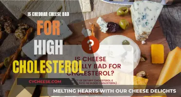 Cheddar Cheese and Cholesterol: Unraveling the Mystery