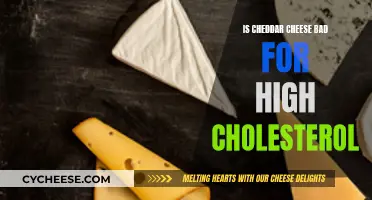 Cheddar Cheese and Cholesterol: What's the Connection?