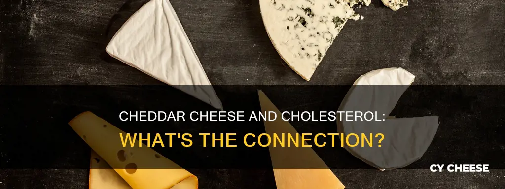 is cheddar cheese bad for high cholesterol