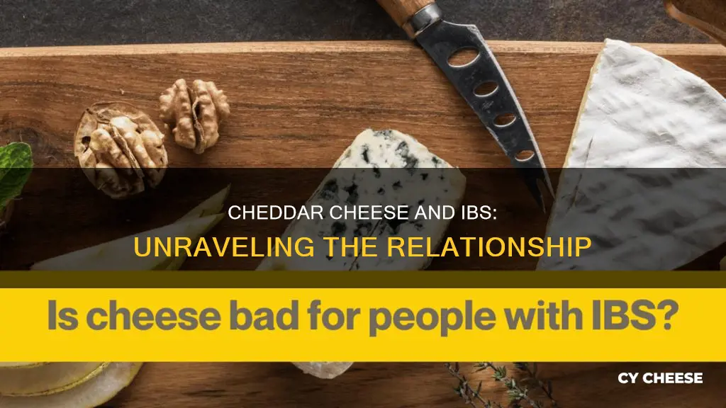 is cheddar cheese bad for ibs