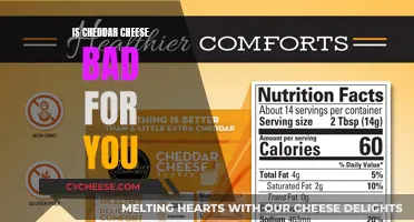 Cheddar Cheese: Healthy or Harmful?