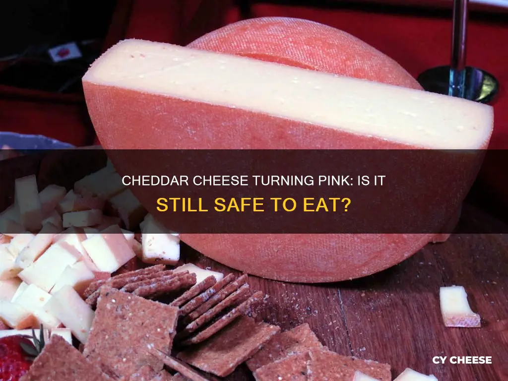 is cheddar cheese bad if it turns pink