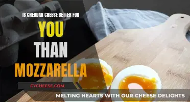 Cheddar vs Mozzarella: Which Cheese is Healthier?