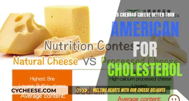 Chronic Diet Dilemma: Cheddar vs. American Cheese and Cholesterol