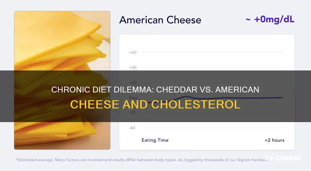 is cheddar cheese better than american for cholesterol