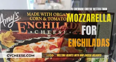 Cheese Conundrum: Cheddar vs. Mozzarella for Enchilada Bliss