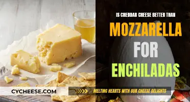 Cheddar vs Mozzarella: The Enchilada Cheese Conundrum