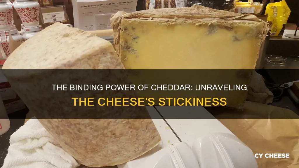 is cheddar cheese binding