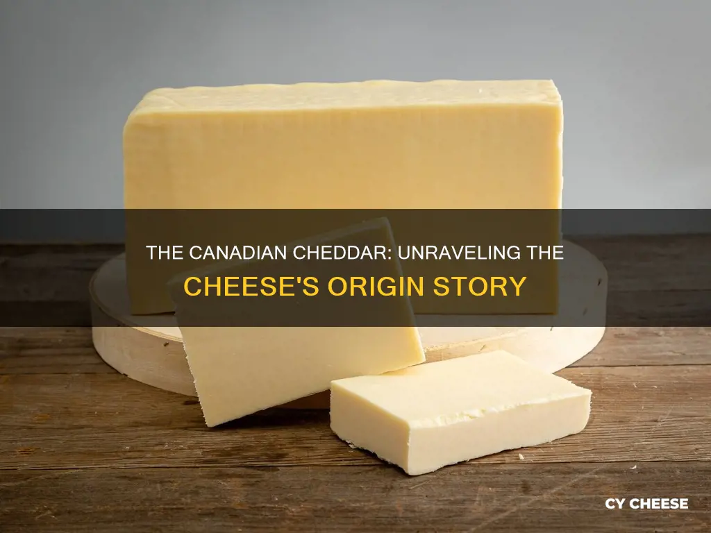 is cheddar cheese canadian