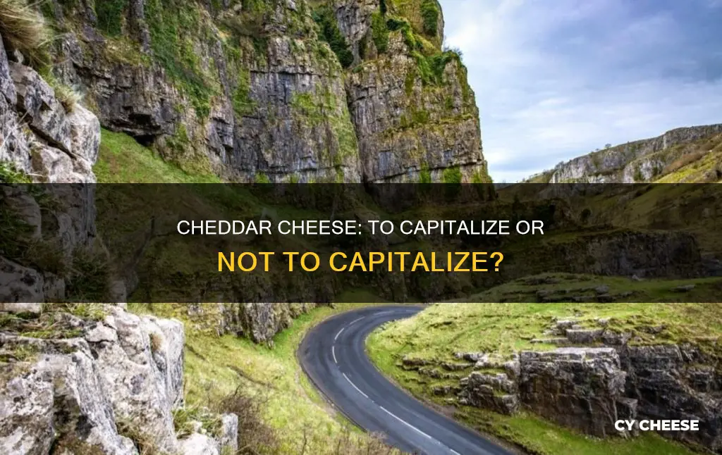 is cheddar cheese capitalized