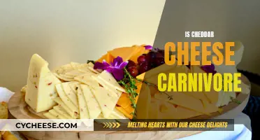 Carnivore Diet: Is Cheddar Cheese a Carnivore's Delight?