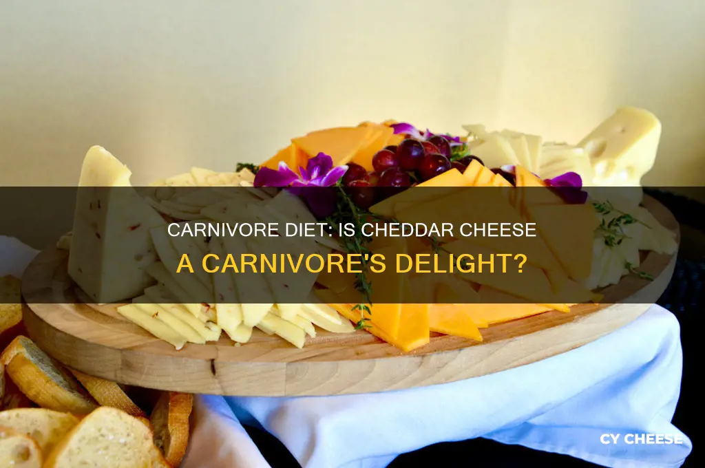 is cheddar cheese carnivore