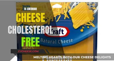 Is Cheddar Cheese Cholesterol-Free? Unveiling the Dairy Dilemma