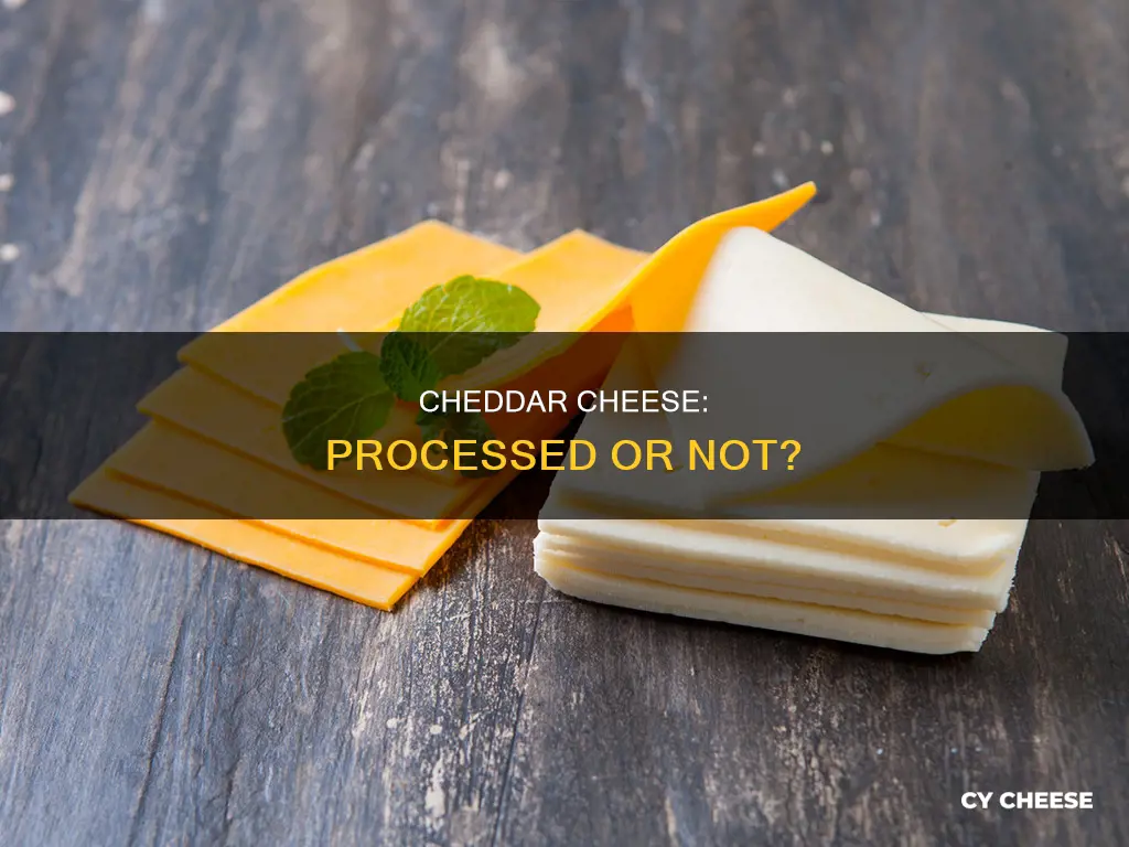 is cheddar cheese considered a processed food