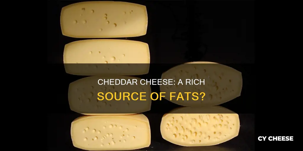 is cheddar cheese contains fat