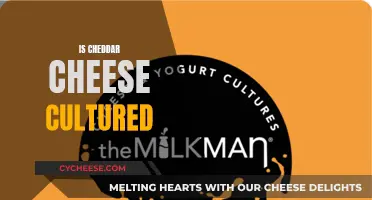 The Cultured Cheddar: Unveiling the Art of Cheese-Making