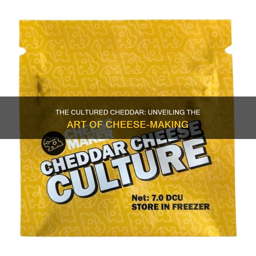 is cheddar cheese cultured