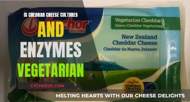 Exploring Cheddar's Veggie-Friendly Origins: Cultures and Enzymes Unveiled