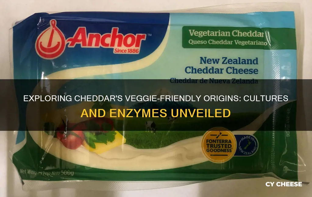 is cheddar cheese cultures and enzymes vegetarian